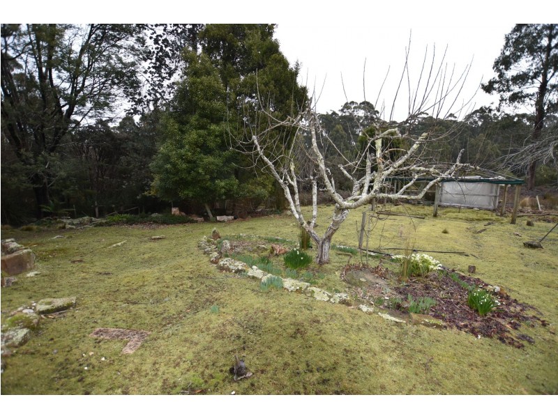 430. Eynens Road, Weetah TAS 7304