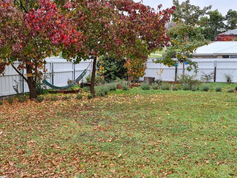 38 West Barrack Street, Deloraine TAS 7304