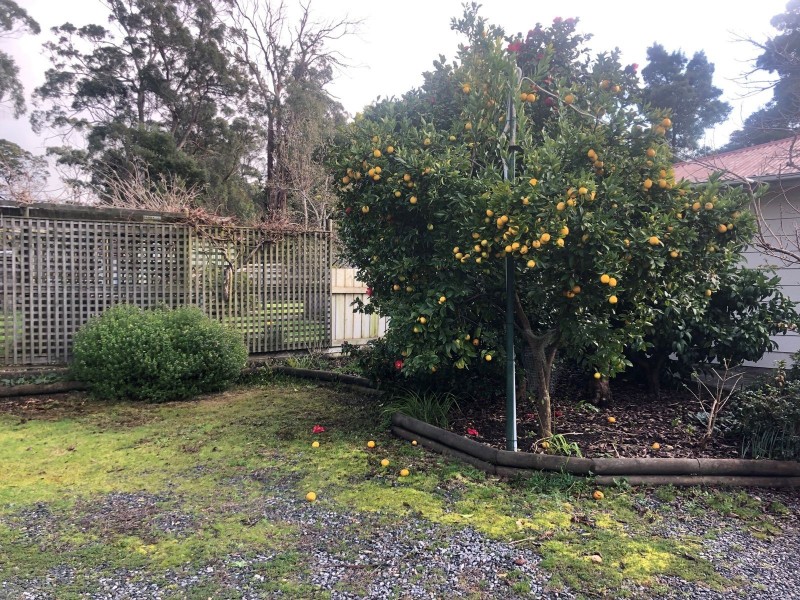 28 Teggs Road, Gravelly Beach TAS 7276