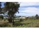 Lot 39 Wrinklers Drive, Scamander TAS 7215