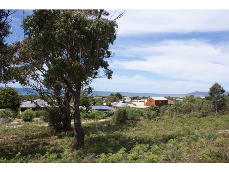 Lot 40 Wrinklers Drive, Scamander TAS 7215