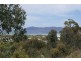 Lot 38. Wrinklers Drive, Scamander TAS 7215