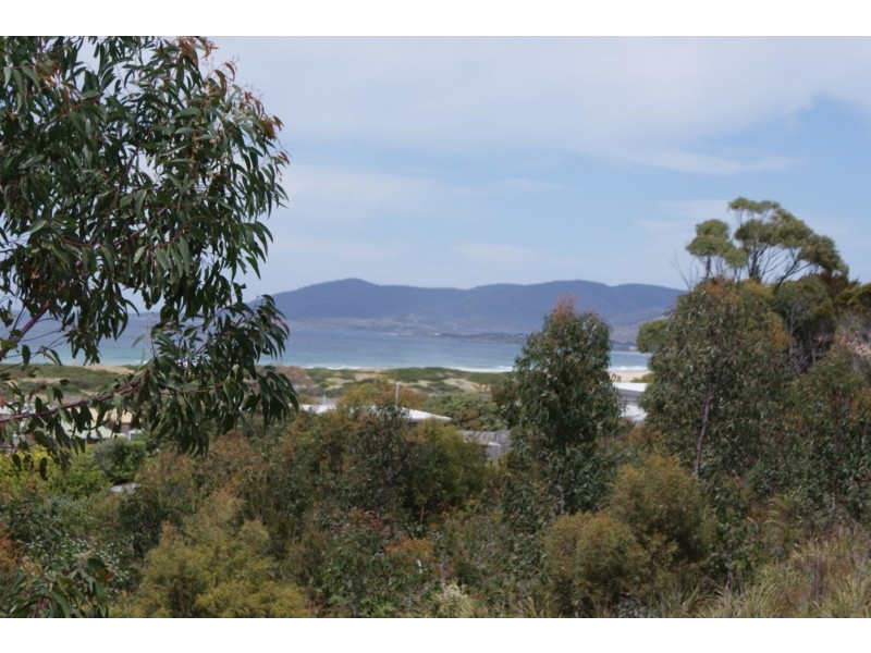 Lot 38. Wrinklers Drive, Scamander TAS 7215