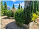 4. Best Street, Deloraine TAS 7304