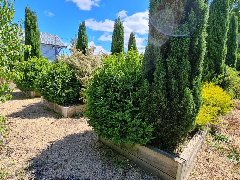 4. Best Street, Deloraine TAS 7304