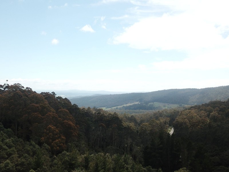 12985  Highland Lakes Rd, Golden Valley TAS 7304