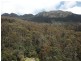 12985  Highland Lakes Rd, Golden Valley TAS 7304