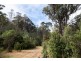 13101 Highland Lakes Road, Golden Valley TAS 7304