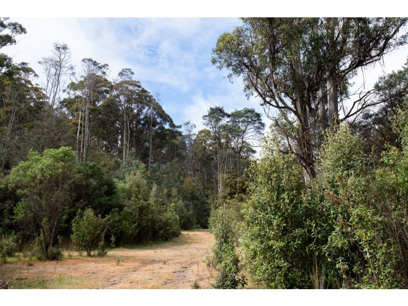 13101 Highland Lakes Road, Golden Valley TAS 7304