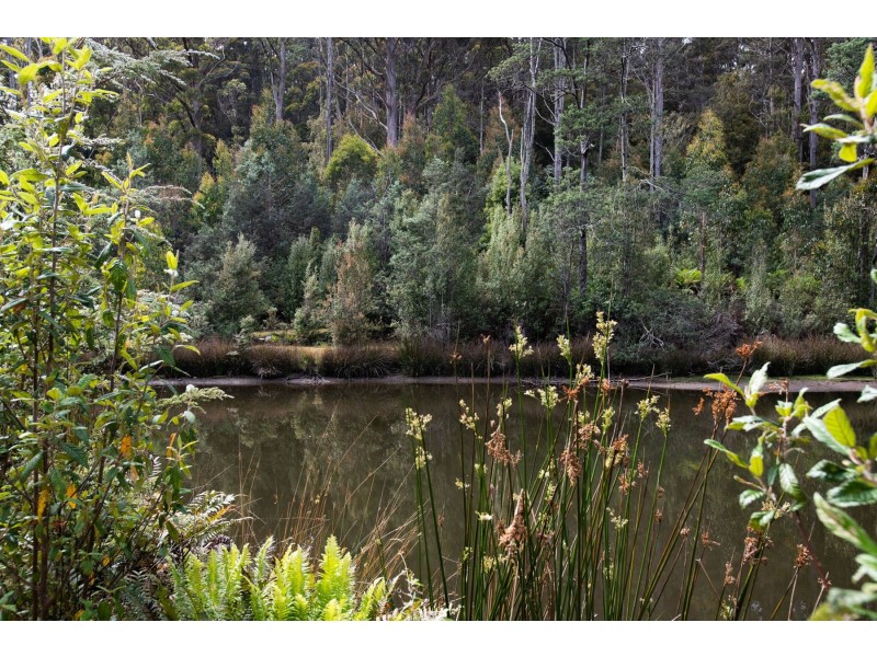 13101 Highland Lakes Road, Golden Valley TAS 7304