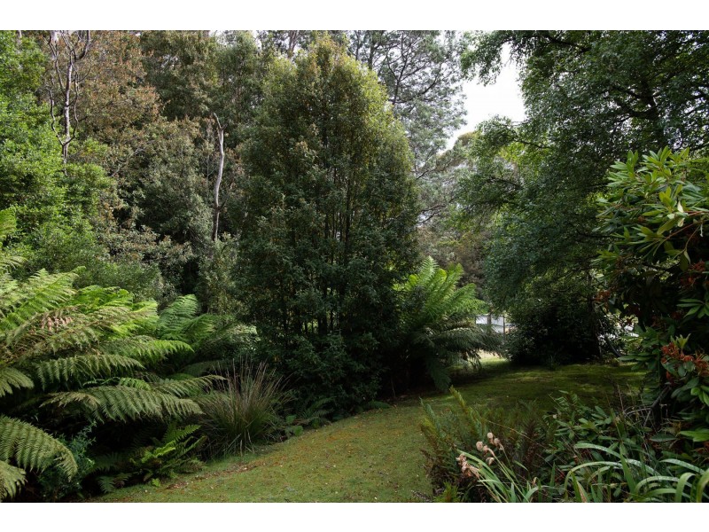 13101 Highland Lakes Road, Golden Valley TAS 7304