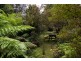 13101 Highland Lakes Road, Golden Valley TAS 7304