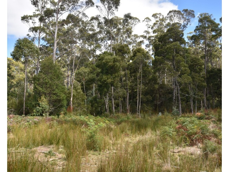 447 Weetah Road, Weetah TAS 7304