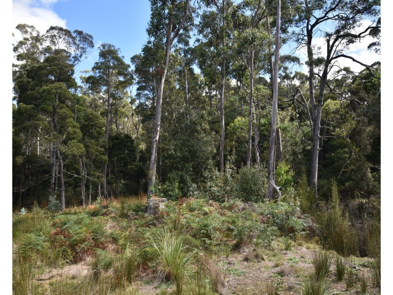 447 Weetah Road, Weetah TAS 7304