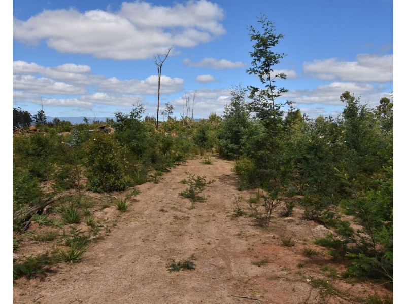 447 Weetah Road, Weetah TAS 7304