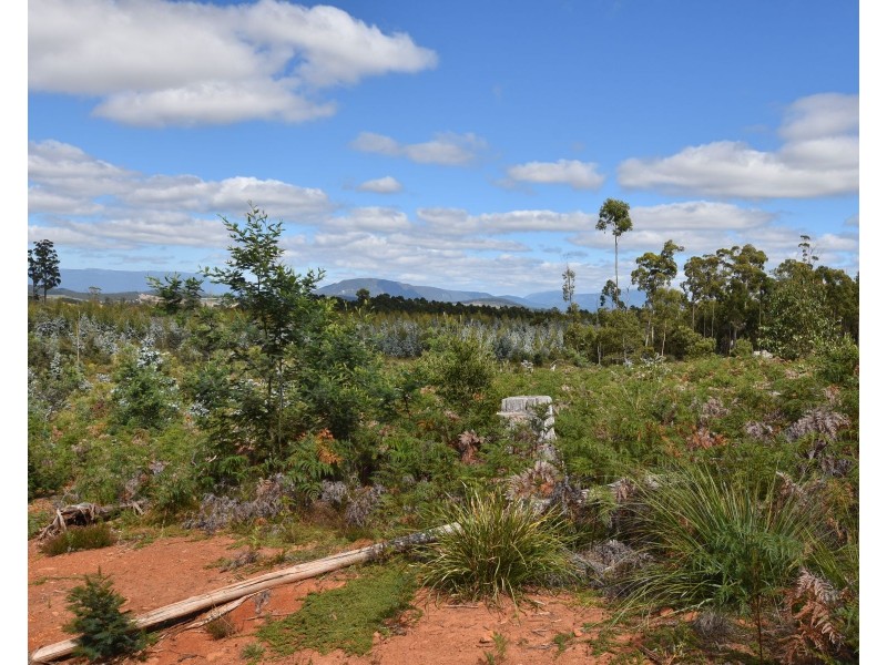 447 Weetah Road, Weetah TAS 7304