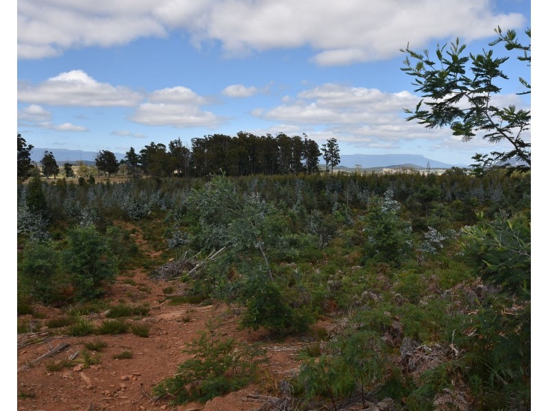 447 Weetah Road, Weetah TAS 7304