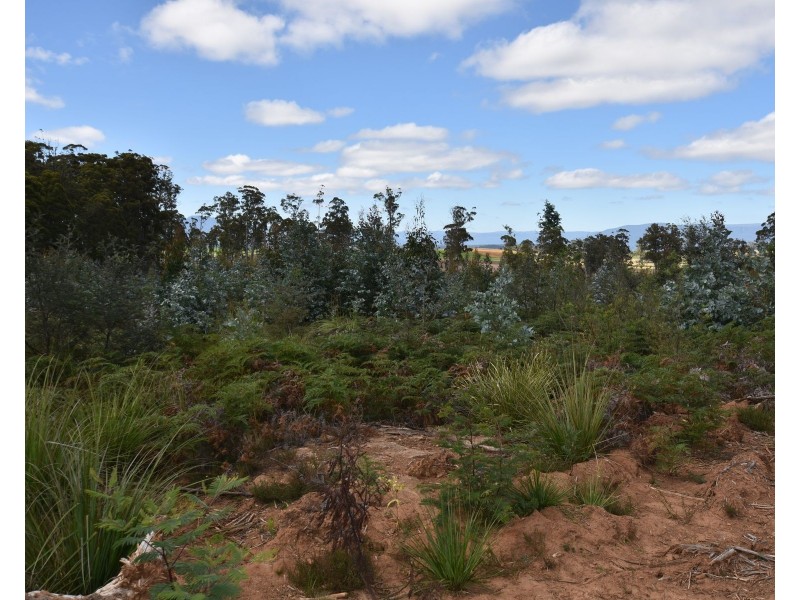 447 Weetah Road, Weetah TAS 7304