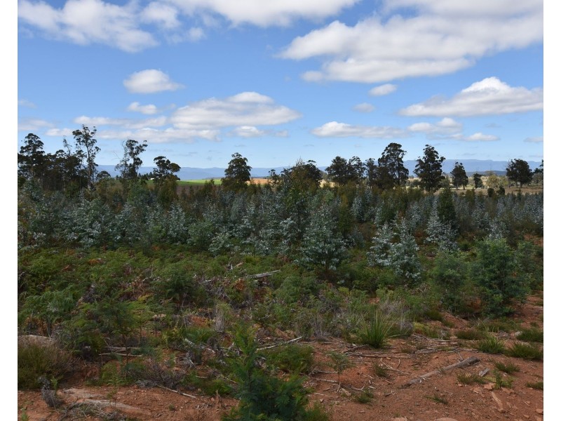 447 Weetah Road, Weetah TAS 7304