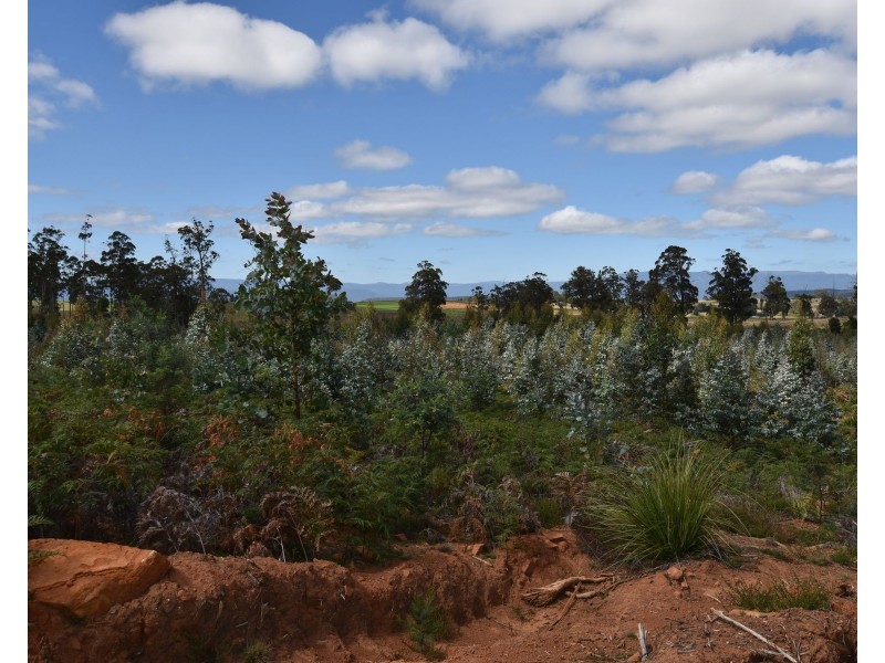 447 Weetah Road, Weetah TAS 7304