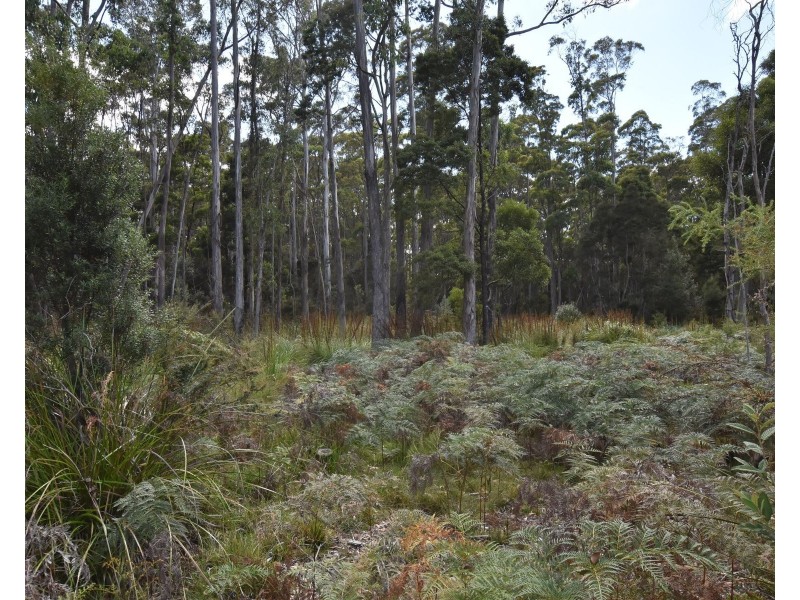 447 Weetah Road, Weetah TAS 7304