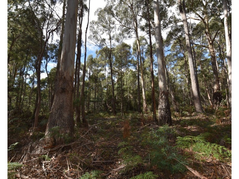 366 River Road, Reedy Marsh TAS 7304