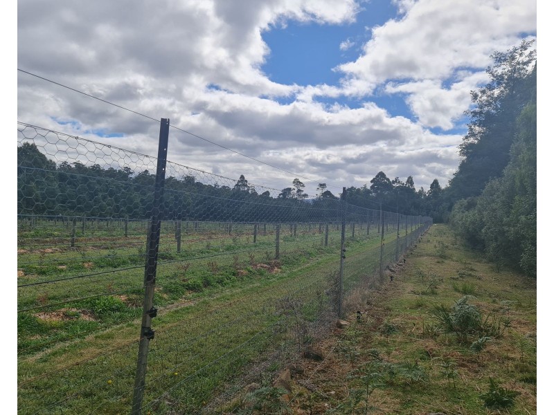 Western Creek TAS 7304