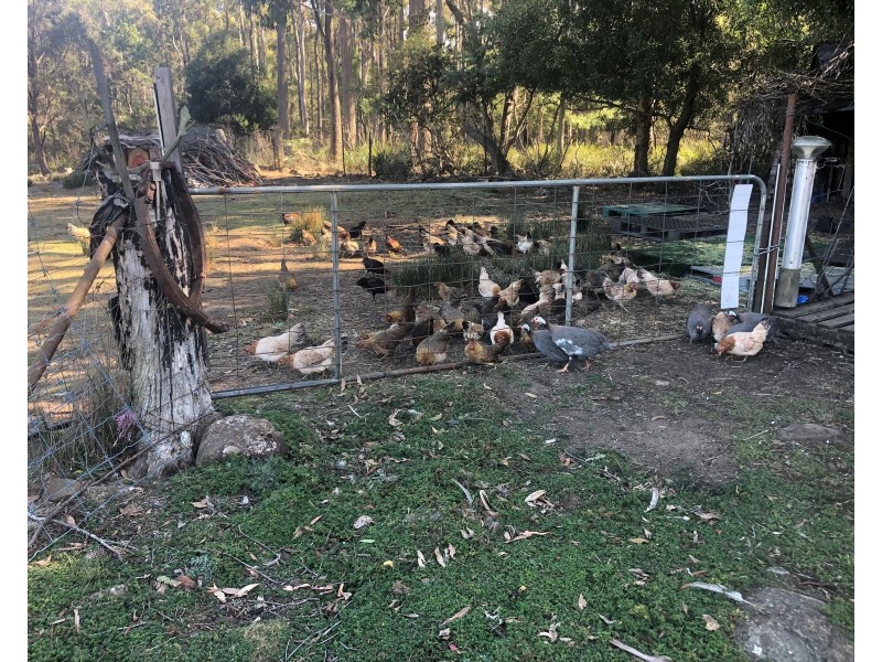 65 Austins Road, Turners Marsh TAS 7267