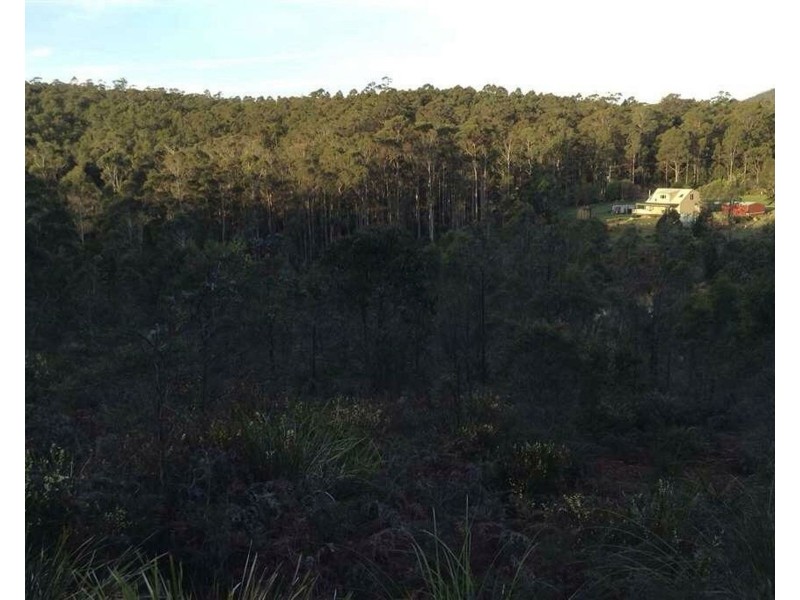 65 Austins Road, Turners Marsh TAS 7267