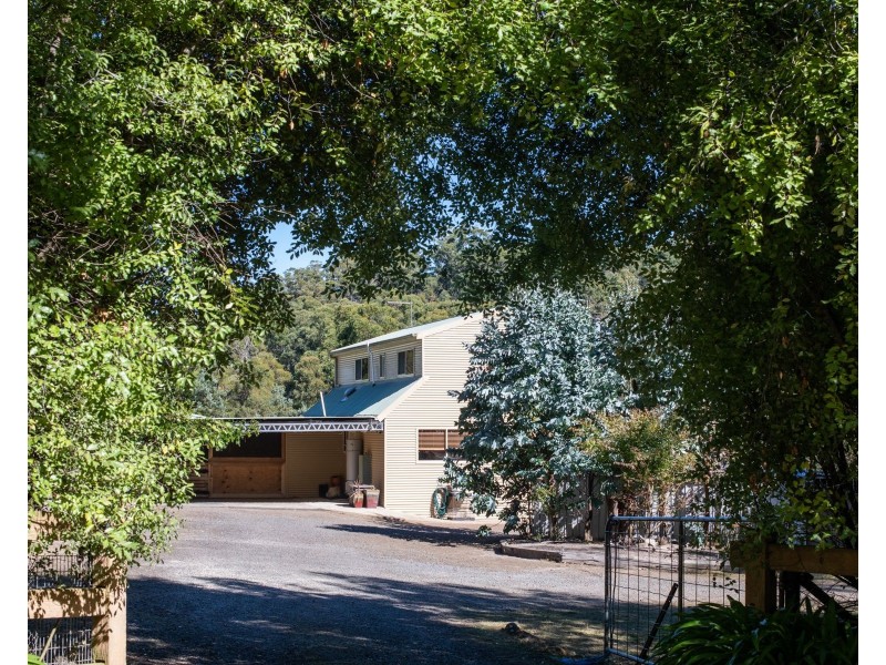 65 Austins Road, Turners Marsh TAS 7267