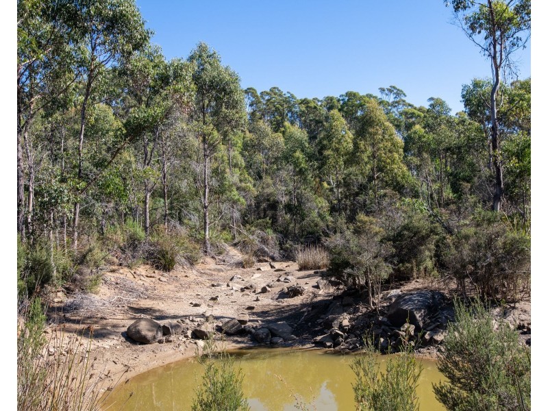 65 Austins Road, Turners Marsh TAS 7267