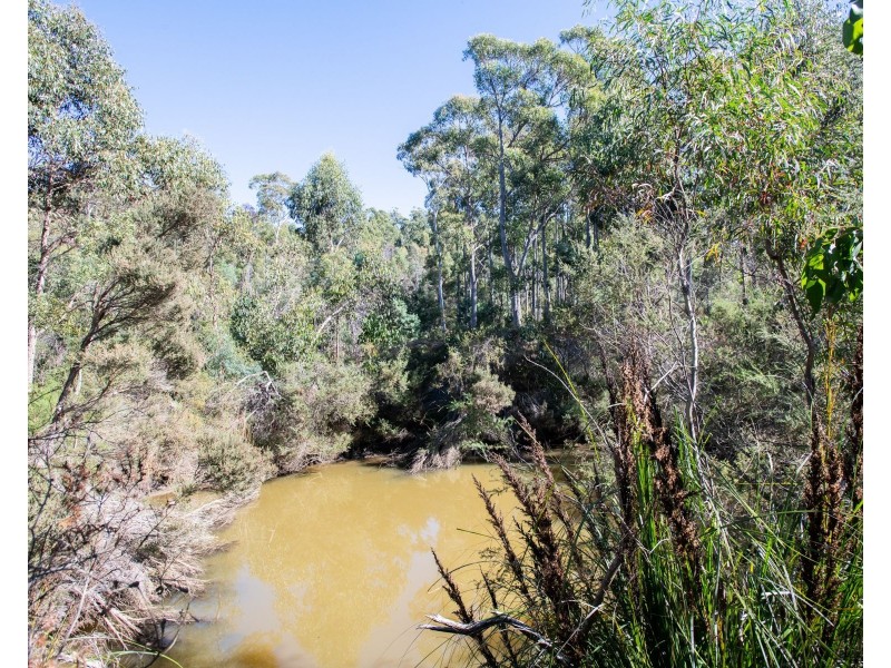 65 Austins Road, Turners Marsh TAS 7267