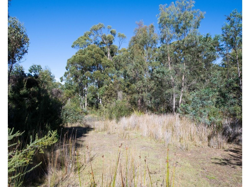 65 Austins Road, Turners Marsh TAS 7267