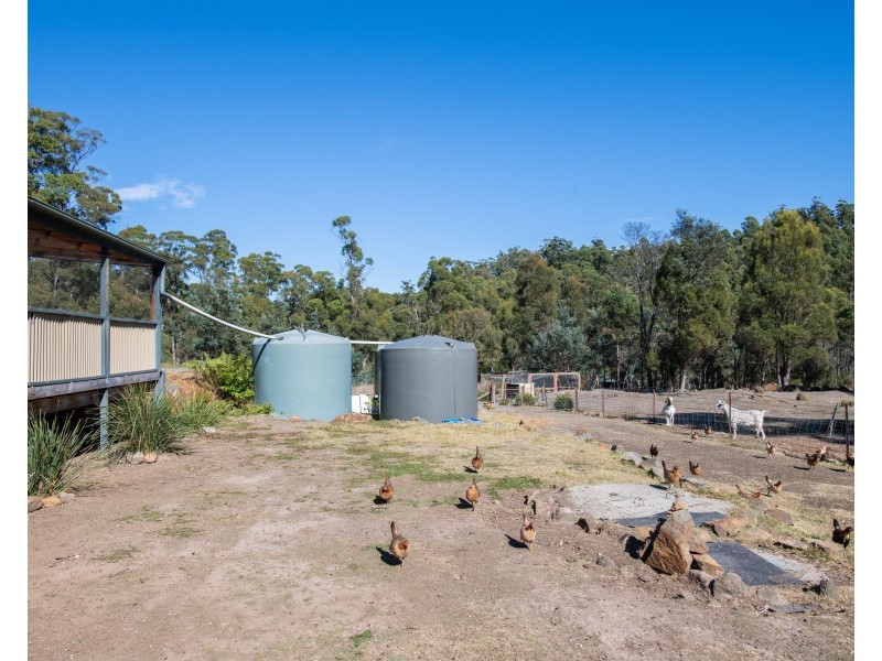 65 Austins Road, Turners Marsh TAS 7267