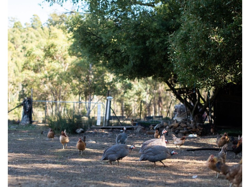 65 Austins Road, Turners Marsh TAS 7267