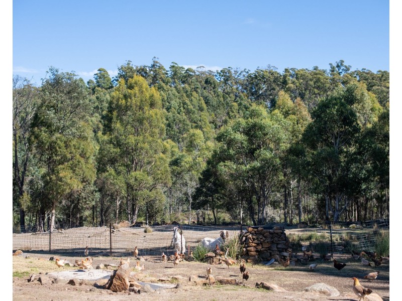 65 Austins Road, Turners Marsh TAS 7267