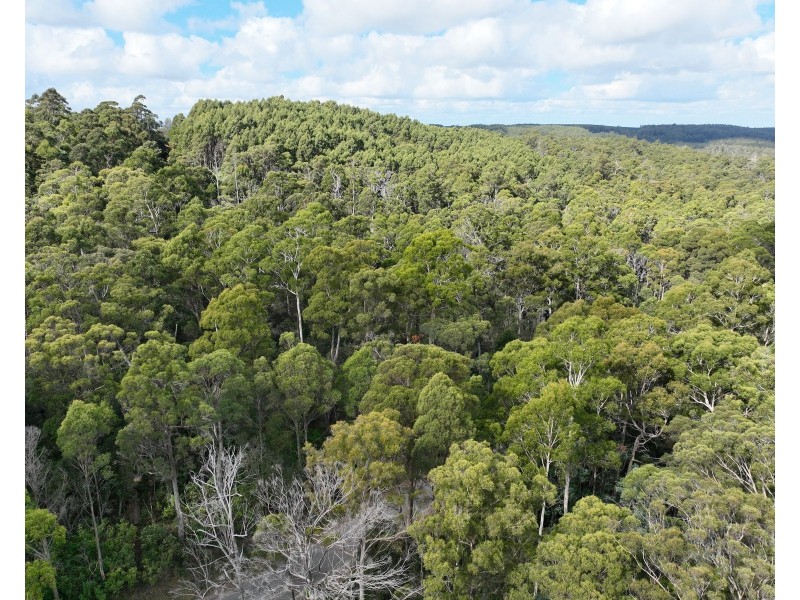 Part of 190 Porters Bridge Road, Exton TAS 7303