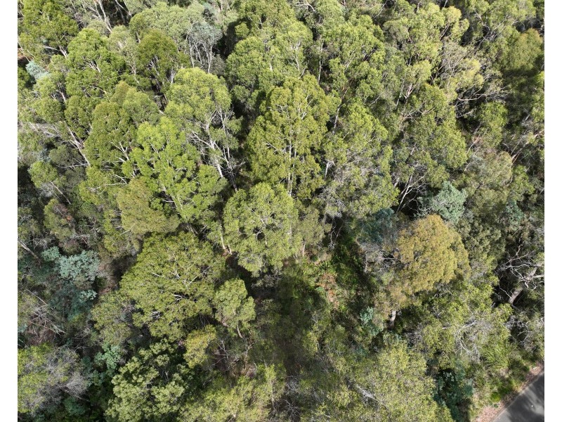 Part of 190 Porters Bridge Road, Exton TAS 7303