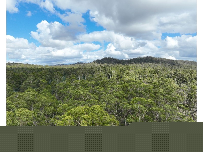 Part of 190 Porters Bridge Road, Exton TAS 7303