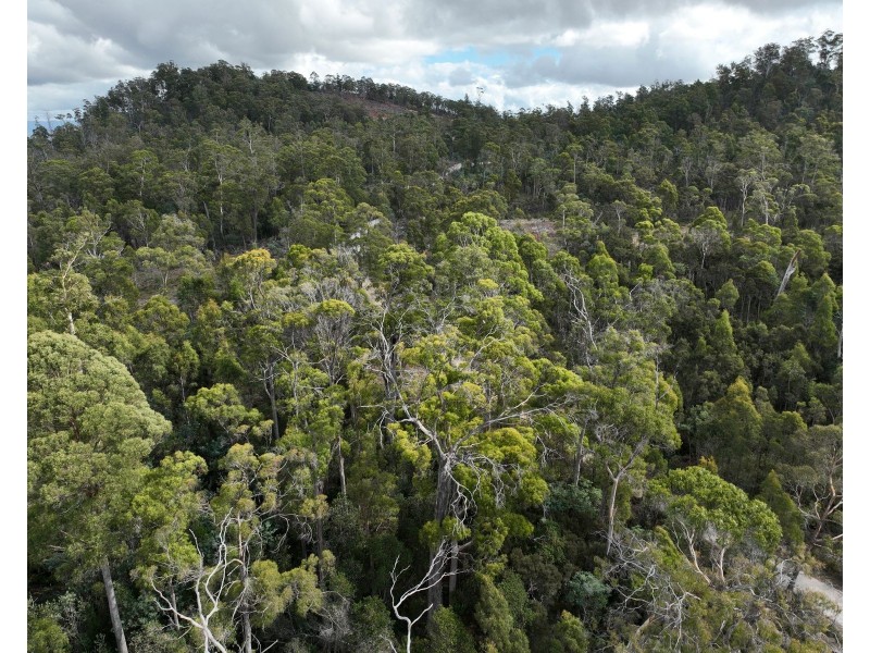 Part of 190 Porters Bridge Road, Exton TAS 7303