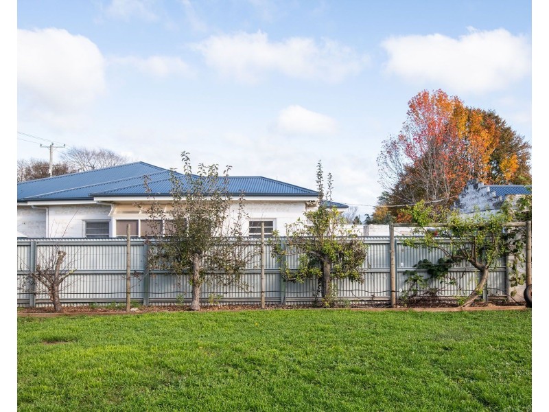 31. East Westbury Place, Deloraine TAS 7304