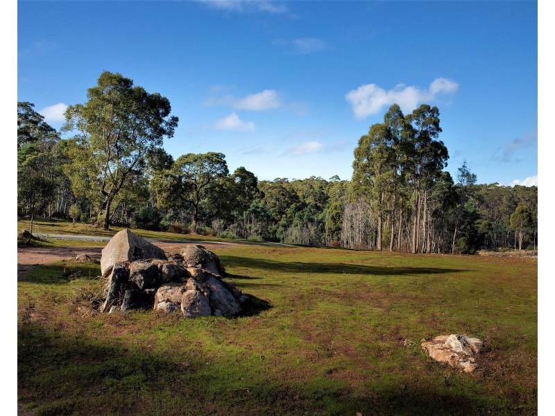 241. Wadleys Road, Reedy Marsh TAS 7304