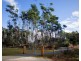 Lot 2, 239 Wadleys Rd, Reedy Marsh TAS 7304