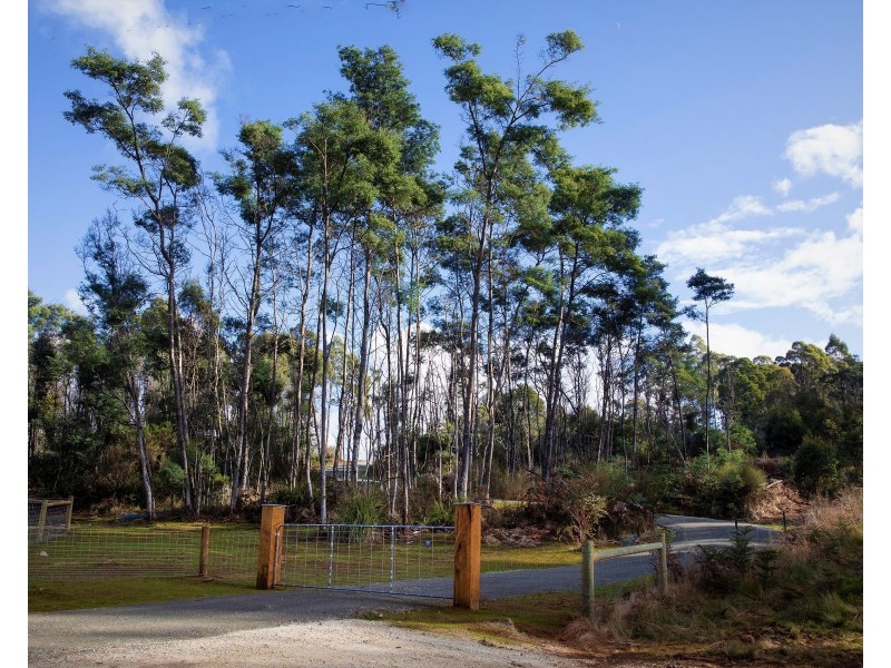 Lot 2, 239 Wadleys Rd, Reedy Marsh TAS 7304
