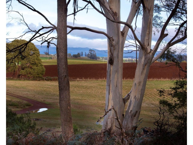 Lot 2, 239 Wadleys Rd, Reedy Marsh TAS 7304