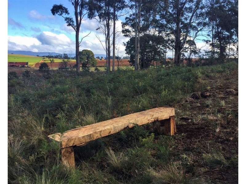 Lot 2, 239 Wadleys Rd, Reedy Marsh TAS 7304