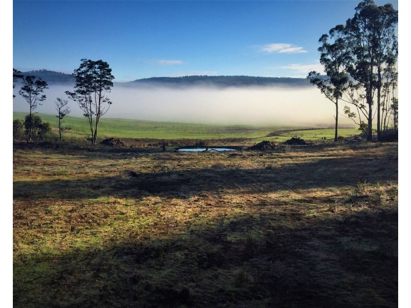 Lot 2, 239 Wadleys Rd, Reedy Marsh TAS 7304