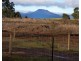 Lot 2, 239 Wadleys Rd, Reedy Marsh TAS 7304