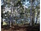 Lot 2, 239 Wadleys Rd, Reedy Marsh TAS 7304