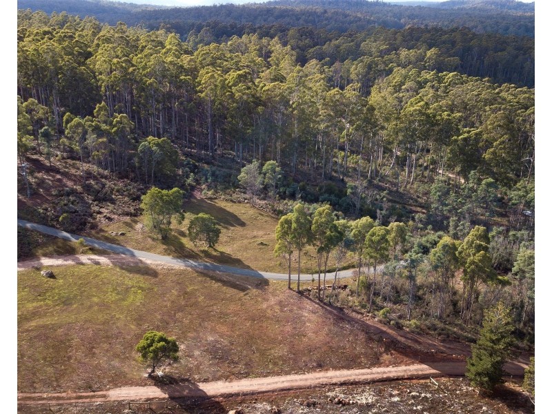 Lot 2, 239 Wadleys Rd, Reedy Marsh TAS 7304